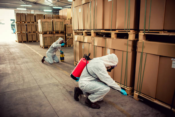 Best Emergency Pest Control  in Minooka, IL