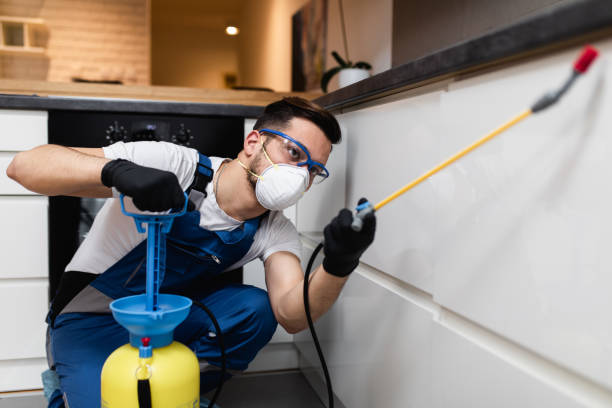 Best Cockroach Control Services  in Minooka, IL