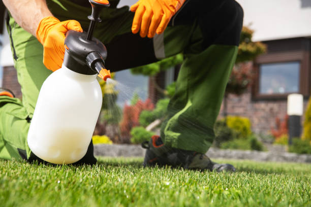 Best Affordable Pest Control Services  in Minooka, IL