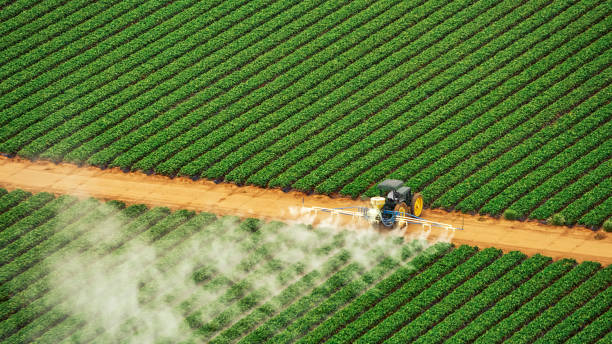 Best Pest Removal Services  in Minooka, IL