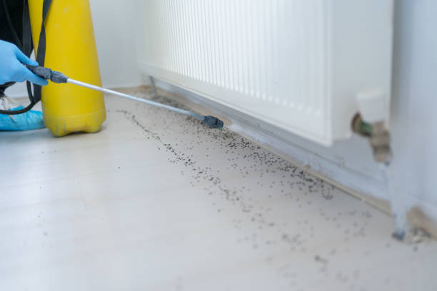 Best Cockroach Control Services  in Minooka, IL