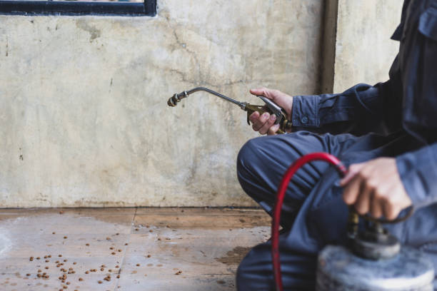 Reliable Minooka, IL Pest Control Solutions