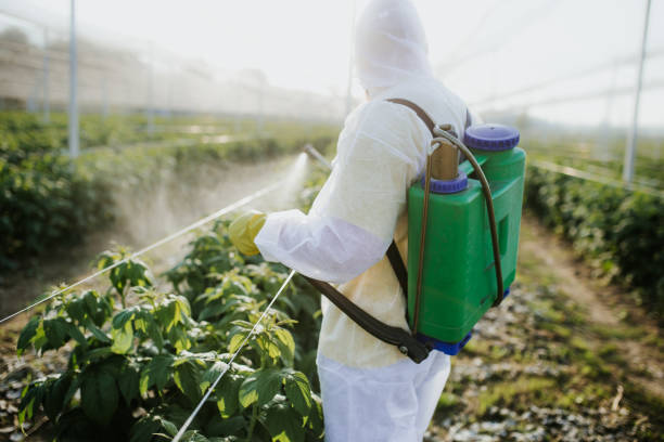 Best Pest Removal Services  in Minooka, IL